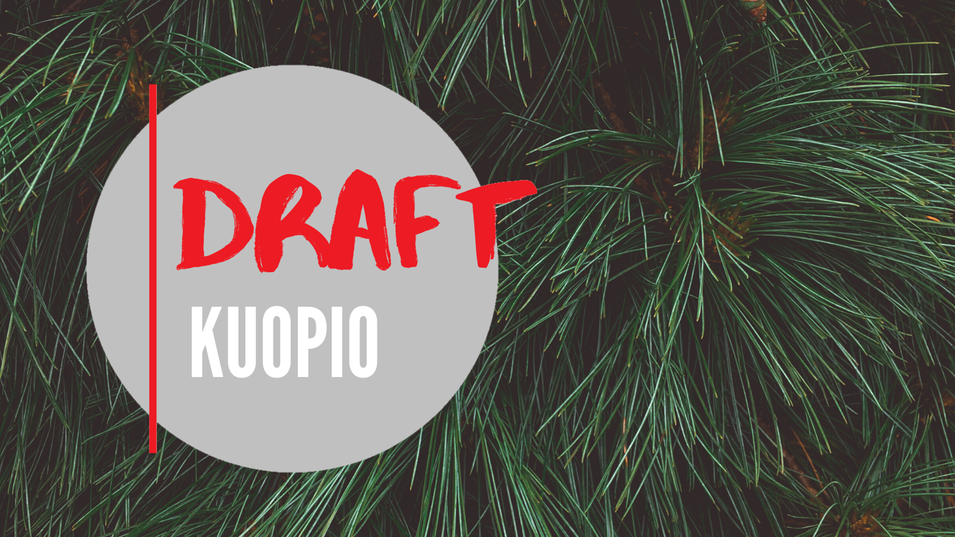 Applicants’ expertise convinced in the Draft business idea competition in Kuopio